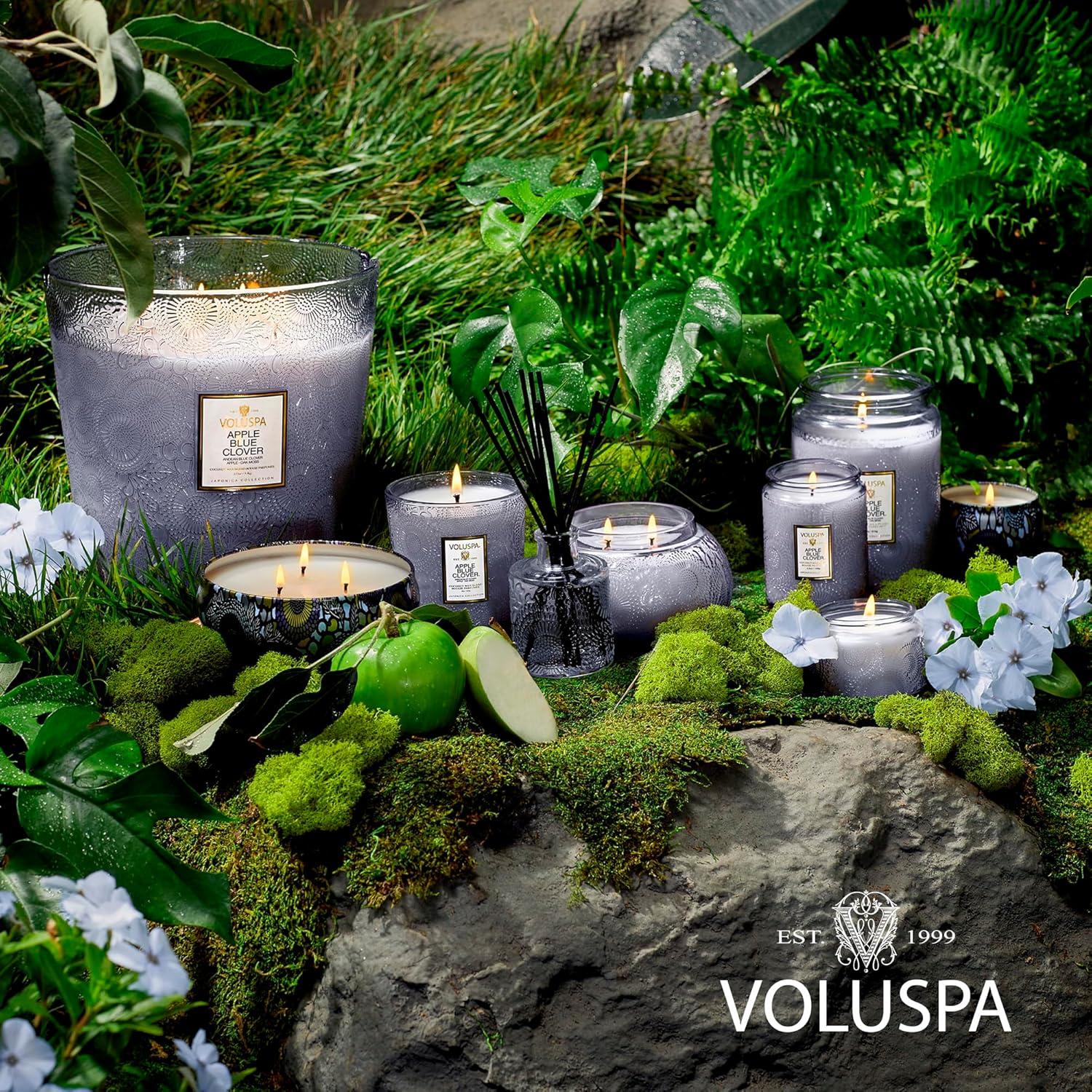 imageVoluspa Apple Blue Clover Large Candle Jar 18 oz 100 Hour Burn Time Coconut Wax for Clean Burning Handcrafted in the USA