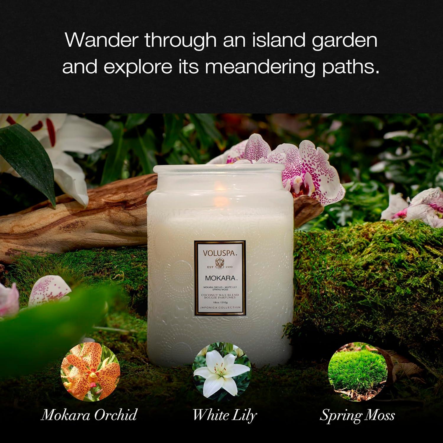 imageVoluspa French Cade Lavender Candle 18 oz Coconut Wax Blend Scented Candles for Home 100 Hour Burn Time Candle JarsMokara