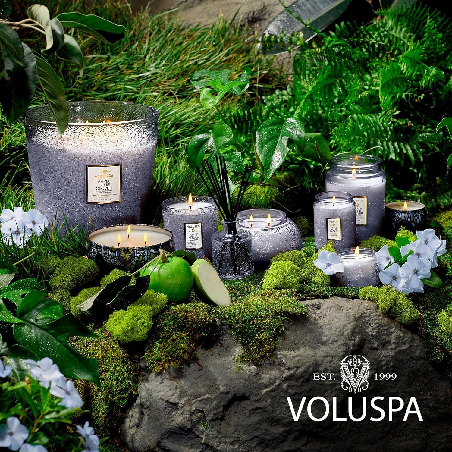 imageVoluspa French Cade Lavender Mini Tin Candle 4 oz 25 Hour Burn Time Coconut Wax for Clean Burning Handcrafted in The USAApple Blue Clover