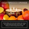3 Wick Tin Candle – Goji Tarocco Orange by Voluspa for Unisex – 12 oz Candle(Red)
