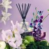 VOLUSPA Japonica Reed Diffuser Apple & Blue Clover