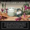Voluspa Baltic Amber, Petite Candle Jar, 3.2 Ounce, 25 Hour Burn Time, Coconut Wax for Clean Burning, Handcrafted in the USA(French Cade and Lavender)