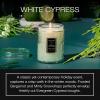 Voluspa Baltic Amber, Small Candle Jar, 5.5 oz, 50 Hour Burn Time, Coconut Wax for Clean Burning, Handcrafted in the USA(White Cypress)