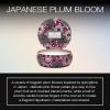 Voluspa Japanese Plum Bloom, 3 Wick Tin Candle, 12 oz, 40 Hour Burn Time, Coconut Wax for Clean Burning, Handcrafted in the USA