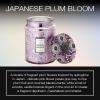 Voluspa Japanese Plum Bloom, Large Candle Jar, 18 oz, 100 Hour Burn Time, Coconut Wax for Clean Burning, Handcrafted in the USA