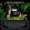 Voluspa Moso Bamboo, Glass Chawan Bowl Candle, 14 ounce, 50 Hour Burn Time, Coconut Wax for Clean Burning, Handcrafted in the USA(Moso Bamboo)