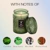 Voluspa Santal Vanille, Small Candle Jar, 5.5 oz, 50 Hour Burn Time, Coconut Wax for Clean Burning, Handcrafted in the USA(TEMPLE MOSS)