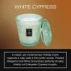 Voluspa Spiced Pumpkin Latte, 3 Wick Boxed Hearth, 38 Ounce, 80 Hour Burn Time, Coconut Wax for Clean Burning, Handcrafted in The USA(White Cypress)