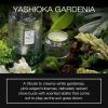 Voluspa Yashioka Gardenia, Petite Candle Jar, 3.2 oz, 25 Hour Burn Time, Coconut Wax for Clean Burning, Handcrafted in the USA