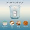 Voluspa California Summers Candle Jar, 9 oz, Coconut Wax Blend, Classic Scented Candles for Home, 60 Hour Burn Time, Poured in The USA(California Summers)