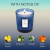 Voluspa California Summers Candle Jar, 9 oz, Coconut Wax Blend, Classic Scented Candles for Home, 60 Hour Burn Time, Poured in The USA(Mediterranean Lemon)