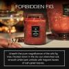 Voluspa Mokara Orchid, Large Candle Jar, 18 oz, 100 Hour Burn Time, All Natural Wicks and Coconut Wax for Clean Burning, Vegan, Poured in the USA(10 – Forbidden Fig)