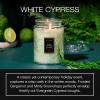 Voluspa Mokara Orchid, Large Candle Jar, 18 oz, 100 Hour Burn Time, All Natural Wicks and Coconut Wax for Clean Burning, Vegan, Poured in the USA(17 – White Cypress)