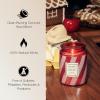 Voluspa Mokara Orchid, Large Candle Jar, 18 oz, 100 Hour Burn Time, All Natural Wicks and Coconut Wax for Clean Burning, Vegan, Poured in the USA(22 – Crushed Candy Cane)
