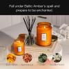 Voluspa Mokara Orchid, Large Candle Jar, 18 oz, 100 Hour Burn Time, All Natural Wicks and Coconut Wax for Clean Burning, Vegan, Poured in the USA(4 – Baltic Amber)