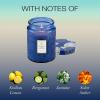 Voluspa Mokara Orchid, Large Candle Jar, 18 oz, 100 Hour Burn Time, All Natural Wicks and Coconut Wax for Clean Burning, Vegan, Poured in the USA(5 – Mediterranean Lemon)