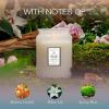Voluspa Mokara Orchid, Large Candle Jar, 18 oz, 100 Hour Burn Time, All Natural Wicks and Coconut Wax for Clean Burning, Vegan, Poured in the USA(7 – Mokara Orchid)